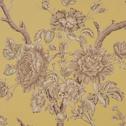 SCHUMACHER  A COUNTRY LIFE INVERNESS GARDEN   Buttercup   - 5017971