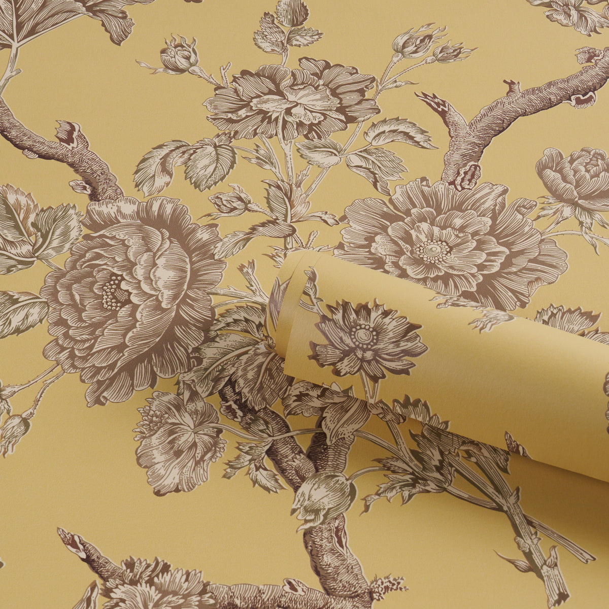 SCHUMACHER  A COUNTRY LIFE INVERNESS GARDEN   Buttercup   - 5017971