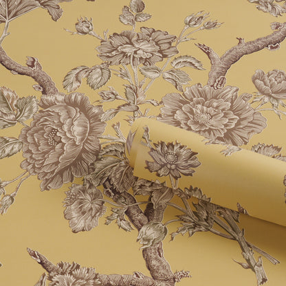 SCHUMACHER  A COUNTRY LIFE INVERNESS GARDEN   Buttercup   - 5017971