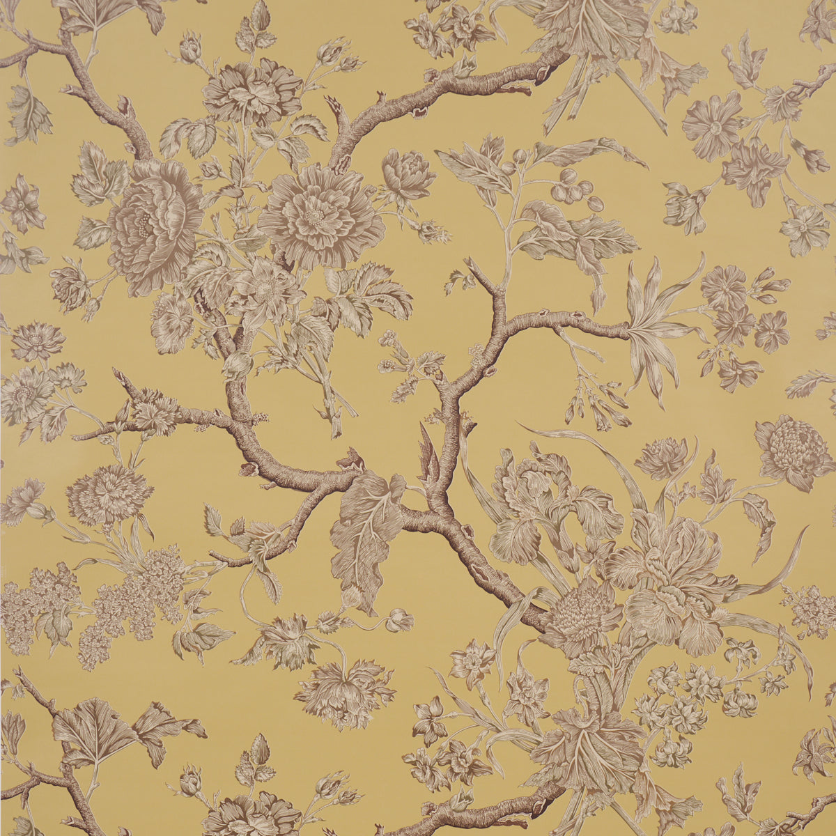 SCHUMACHER  A COUNTRY LIFE INVERNESS GARDEN   Buttercup   - 5017971