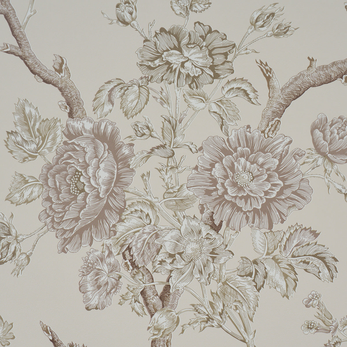 SCHUMACHER  A COUNTRY LIFE INVERNESS GARDEN   Ivory   - 5017972