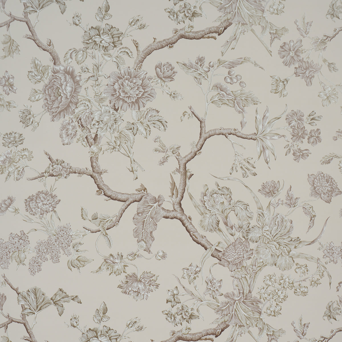 SCHUMACHER  A COUNTRY LIFE INVERNESS GARDEN   Ivory   - 5017972