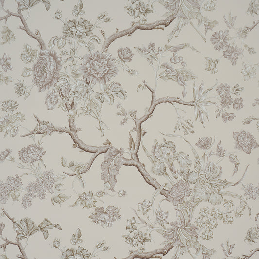 SCHUMACHER  A COUNTRY LIFE INVERNESS GARDEN   Ivory   - 5017972