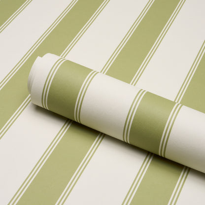 SCHUMACHER  STRIPED WALLCOVERINGS RAFE STRIPE   Leaf   - 5018211