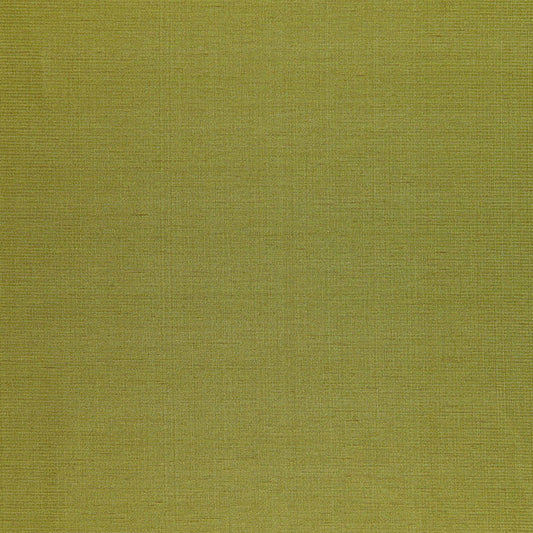 SCHUMACHER  PERFECT BASICS: SATIN POIRET SATIN SILKS & SATIN SILKS & SATIN VERT   - 50446