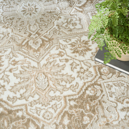 Beige damask-patterned area rug with textured pile; green fern in pot atop magazines at edge.