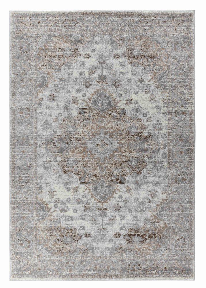4' X 6' Brown Oriental Area Rug