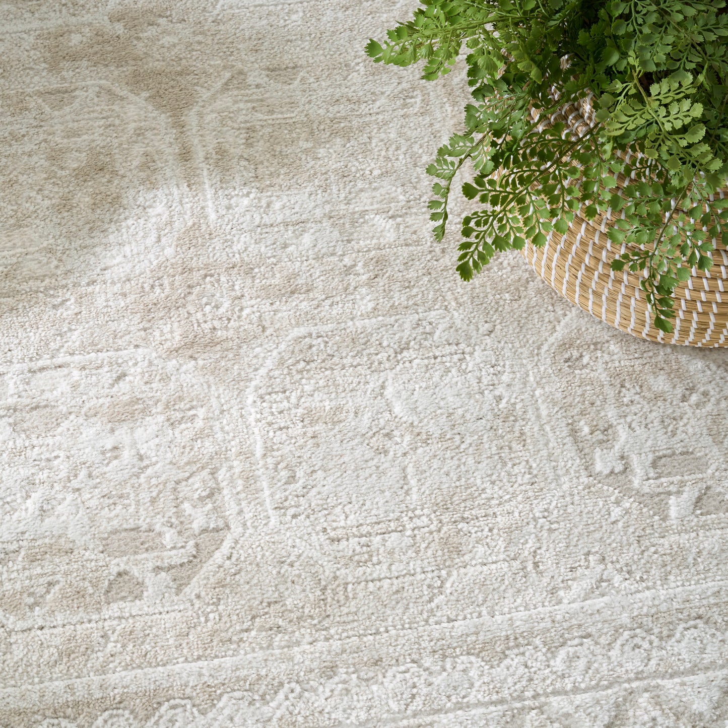 Beige patterned area rug with a green fern in a woven wicker basket