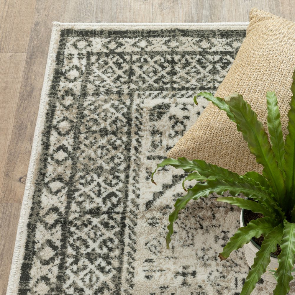 Gray and black oriental-style rug with geometric border on wood floor, beige cushion and green plant.