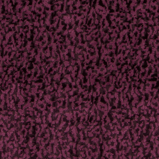 Duralee Monogram Hv16248 | 95-Plum  Upholstery     - 509824