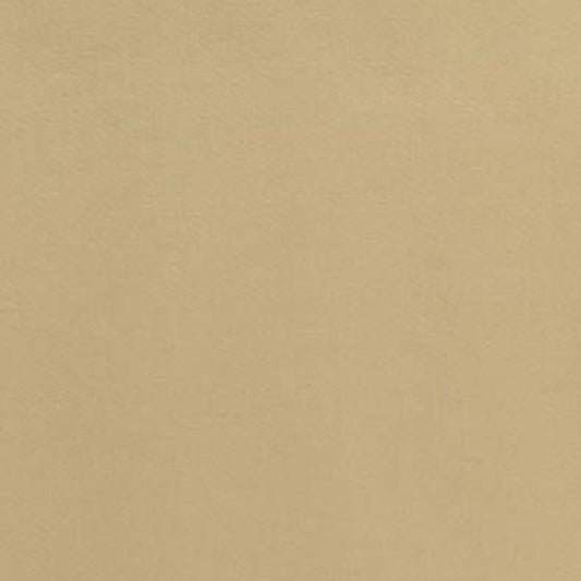 SCHUMACHER  PERFECT BASICS: SATIN LAURENT COTTON SATIN HIGH PERFORMANCE,SILKS & SATIN,PLAINS HIGH PERFORMANCE,SILKS & SATIN,PLAINS CHAMOIS   - 50985