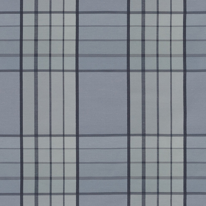 Light blue plaid fabric with navy and white grid lines; soft woven texture, ideal for shirts or bedding.