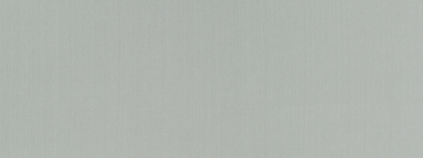 Robert Allen Swagger | Aloe  Multipurpose     - 513731