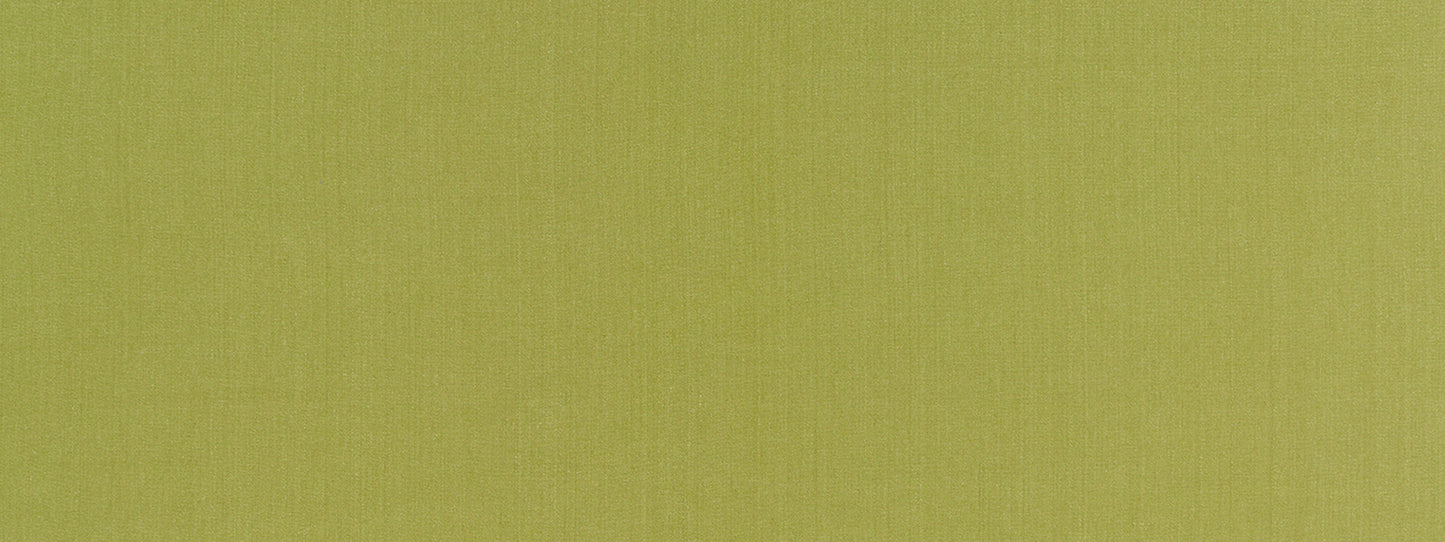 Robert Allen Swagger | Lemongrass  Multipurpose     - 513752