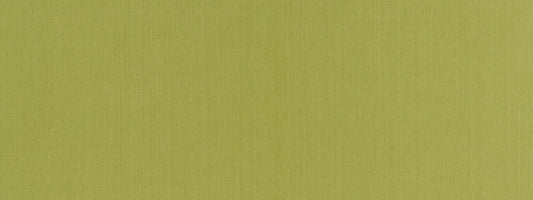 Robert Allen Swagger | Lemongrass  Multipurpose     - 513752