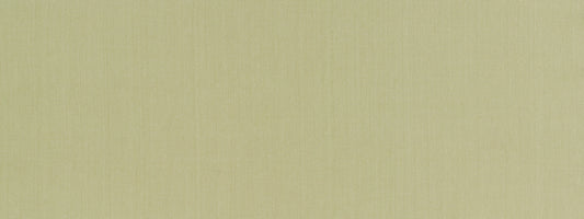 Robert Allen Swagger | Lettuce  Multipurpose     - 513753