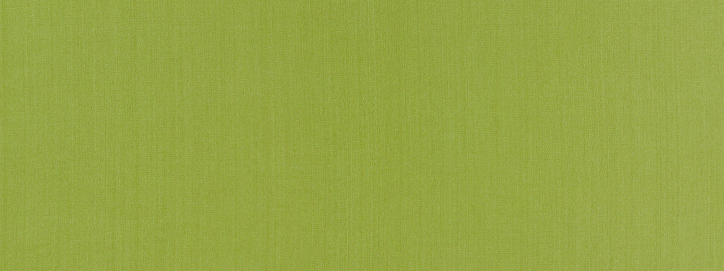 Robert Allen Swagger | Spring Grass  Multipurpose     - 513766