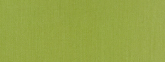 Robert Allen Swagger | Spring Grass  Multipurpose     - 513766