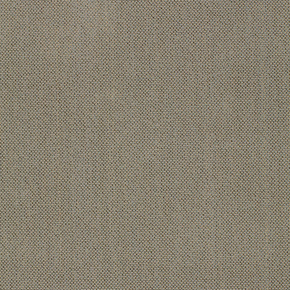 SCHUMACHER  CHROMA OLIVIER �PINGL�   Mist   - 51432