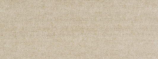 Robert Allen Sunwashed Slub | Biscuit  Multipurpose     - 515149