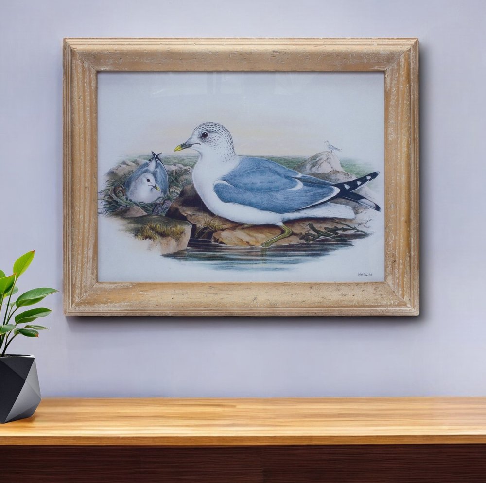 13" X 17" Natural And Blue Bird Solid Wood Framed Art