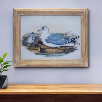 13" X 17" Natural And Blue Bird Solid Wood Framed Art