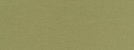 Robert Allen Contract Ardenvoir | Edamame  Multipurpose     - 517773