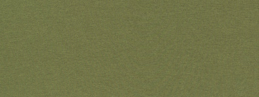 Robert Allen Contract Ardenvoir | Fern  Multipurpose     - 517774