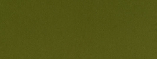 Robert Allen Contract Chelan Falls | Fern  Multipurpose     - 517800