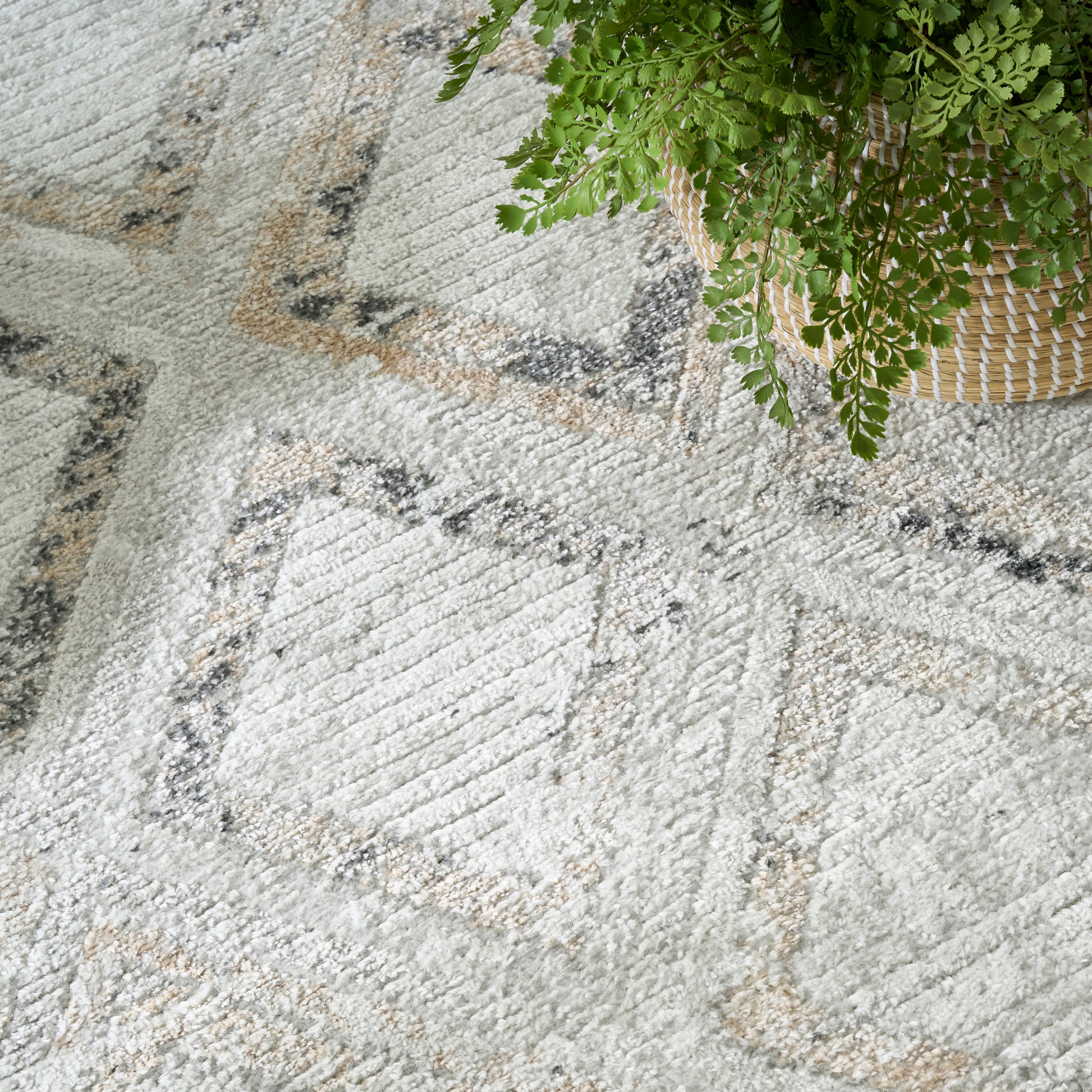 Light gray geometric rug with beige & charcoal lines; green fern in a woven basket beside it.