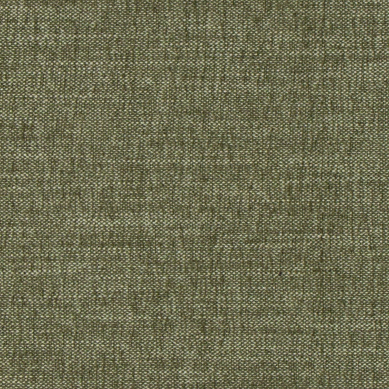 Duralee Dw16417 | 2-Green  Upholstery     - 520825