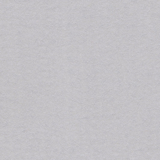 JF Fabrics -Wallpaper 52095 93 Wallpaper Grey,Silver  Non-Woven,Mural - 8108893 W8621