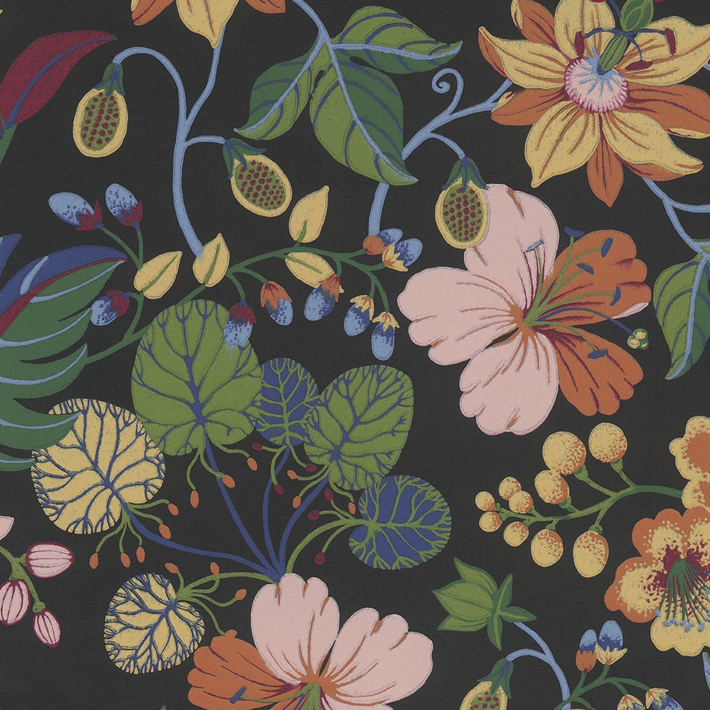Black non-woven floral wallpaper with hibiscus, roundleaf vines, blue stems, green leaves, orange-yellow blossoms and berry clusters.