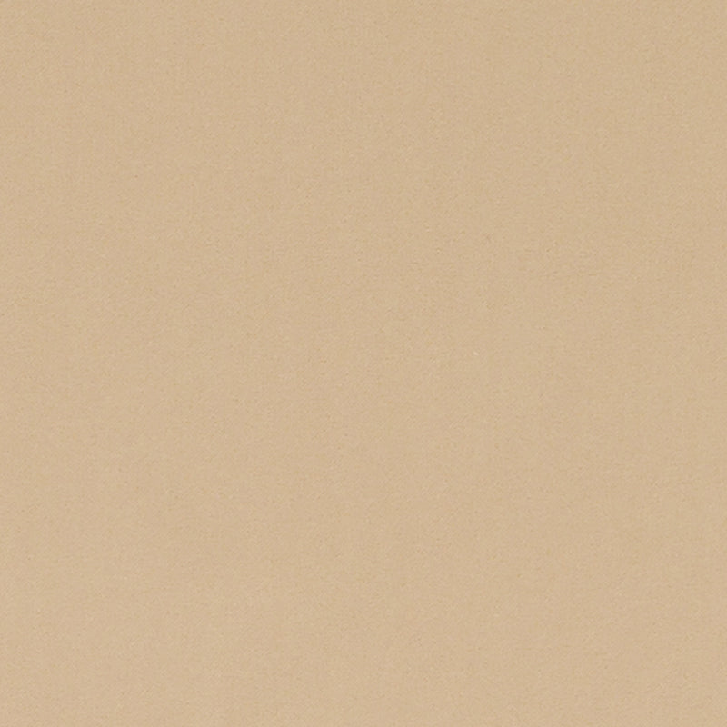 Beige upholstery fabric with a subtle speckled texture.