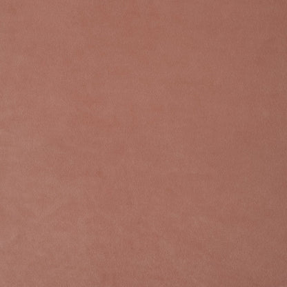 34" Blush And Espresso Velvet Tufted Club Chair