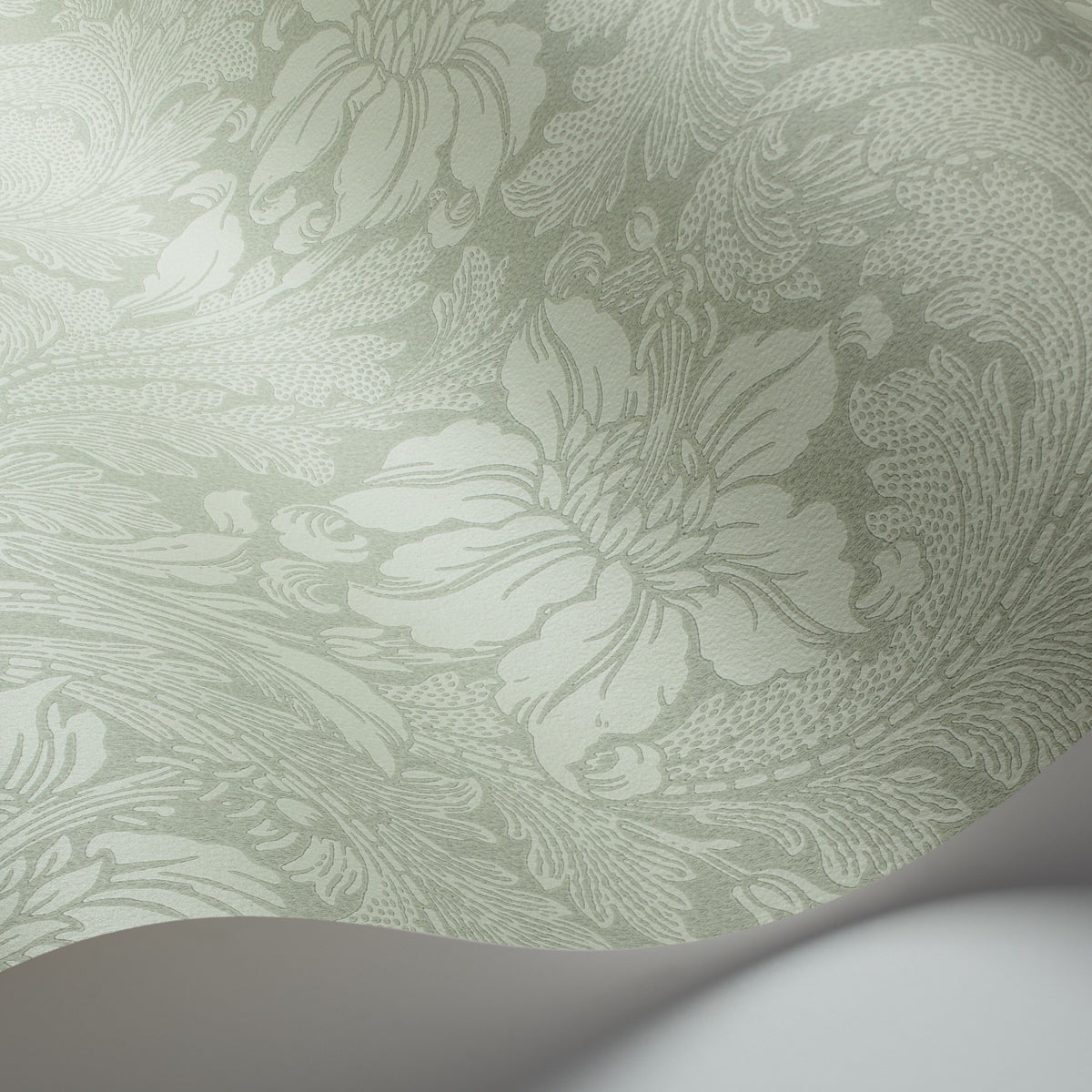 Mint green damask wallpaper close-up with ornate floral scroll pattern; curved white edge peeks into corner.