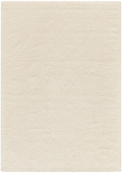 Cream textured rug; 4' x 6' size.