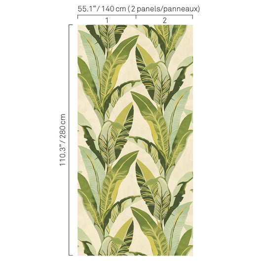 JF Fabrics -Wallpaper 5421 73 Wallpaper Green  Non-Woven - 7836273 W8411