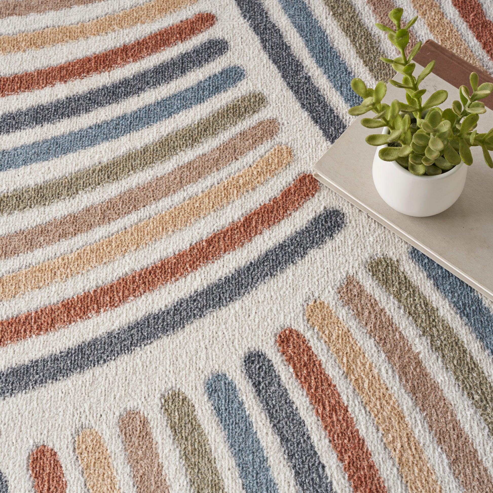 Soft cream rug with multicolored curved stripes in orange, blue, tan, green; small potted succulent on a gray book nearby.