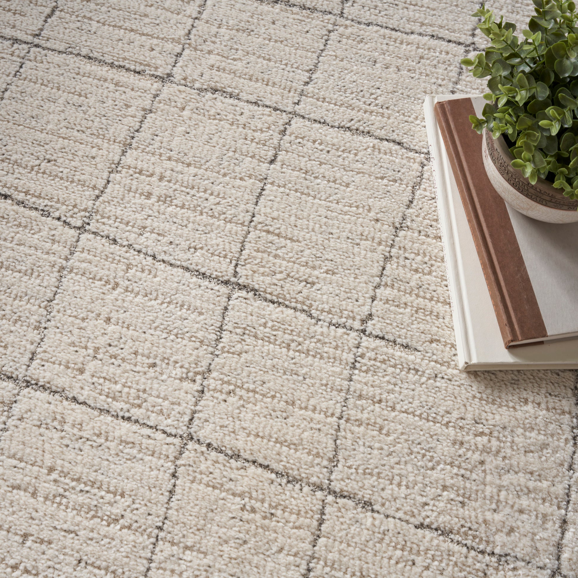 Beige textured rug with a subtle grid pattern; stack of books topped by a small potted plant on the edge.