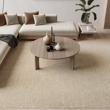Beige area rug in a living room with a round wooden coffee table, vases, and a candle; sectional sofa with neutral cushions.