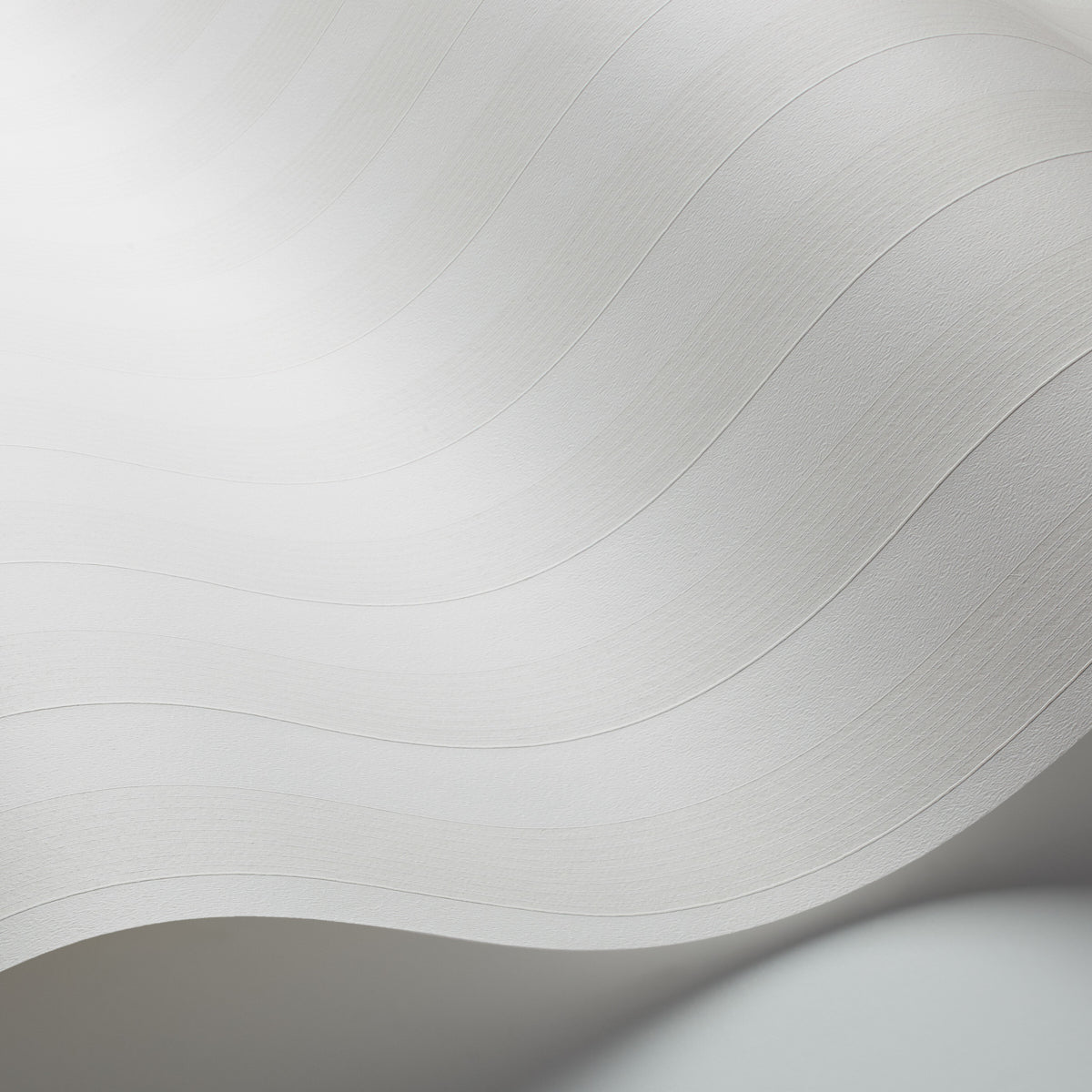 SCHUMACHER  Borastapeter CARL   IVORY   - 5488