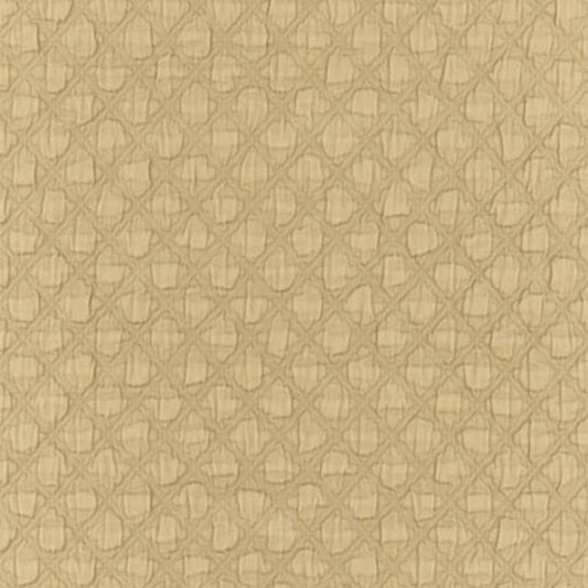 SCHUMACHER  PALAZZO LUCCA MATELASSESE ANTELOPE   - 55581