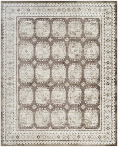 Traditional beige-brown rug with a grid of square medallions and an ornate border; distressed neutral tones for living room.