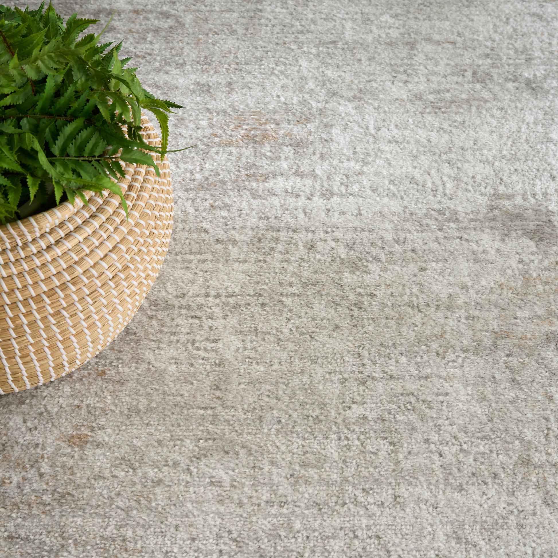 Round woven wicker basket planter with a green fern on a light gray textured rug.