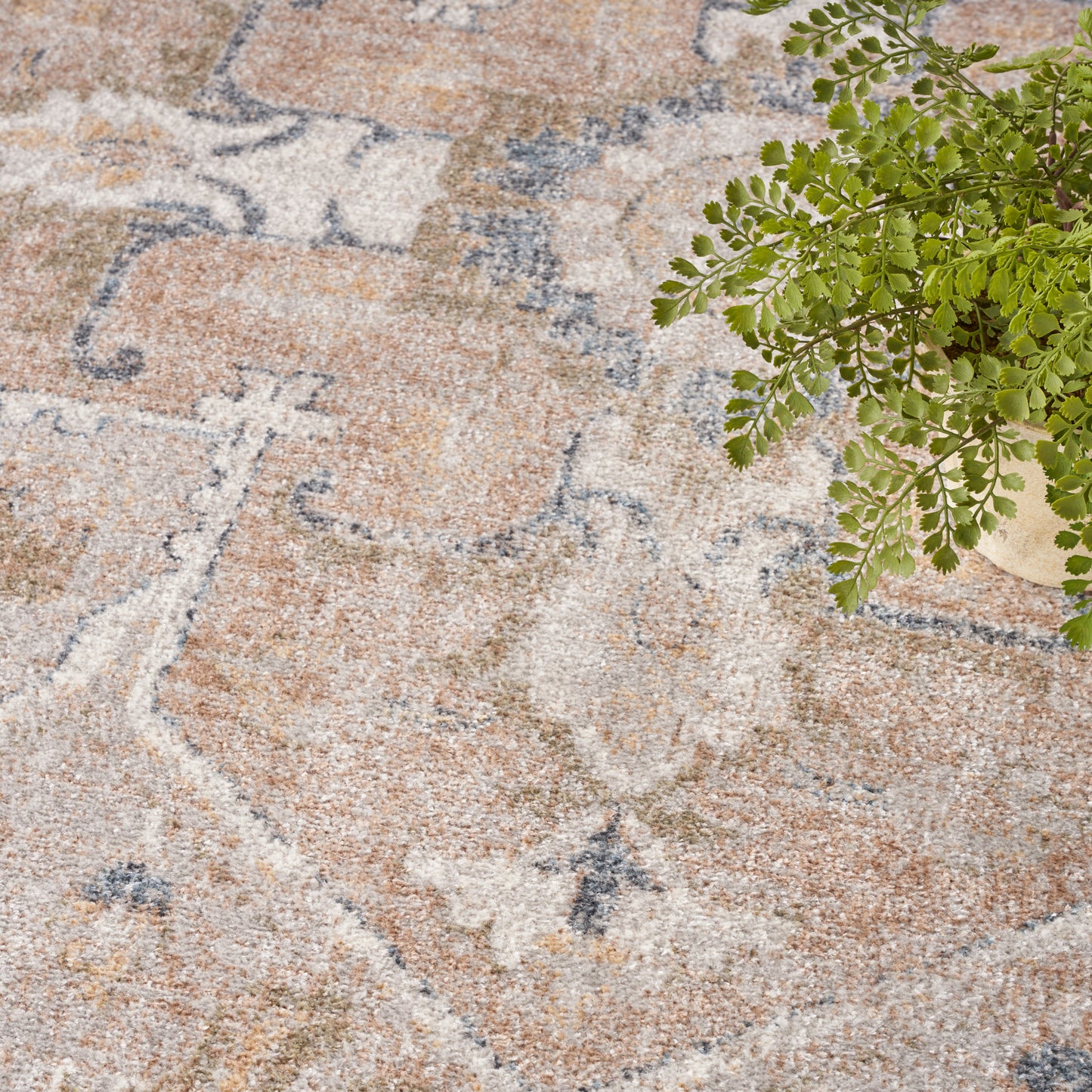 Muted beige and peach oriental rug with blue-gray floral motifs; soft textured pile; green potted fern in corner.
