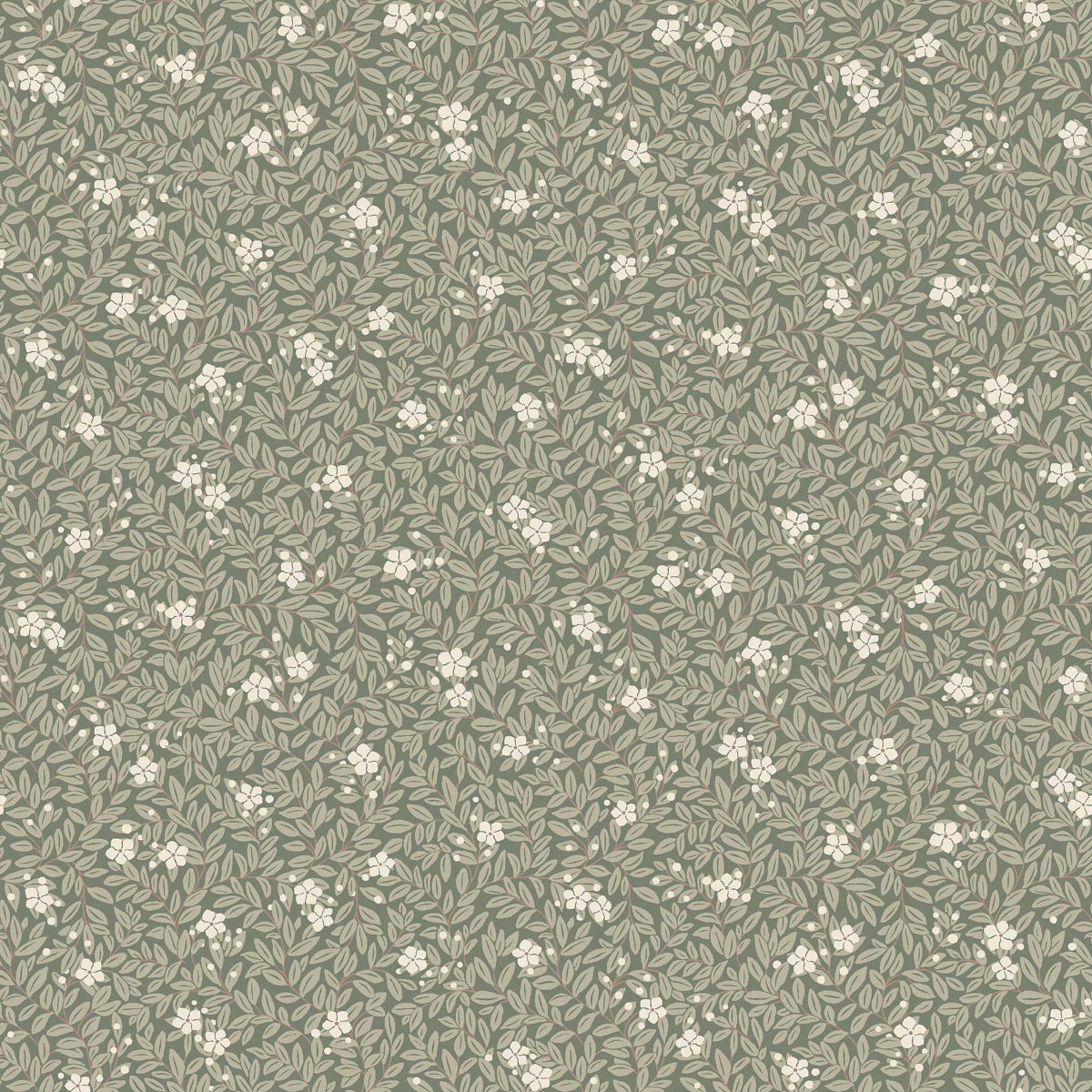 SCHUMACHER  Borastapeter MYRTEN   SAGE   - 5716