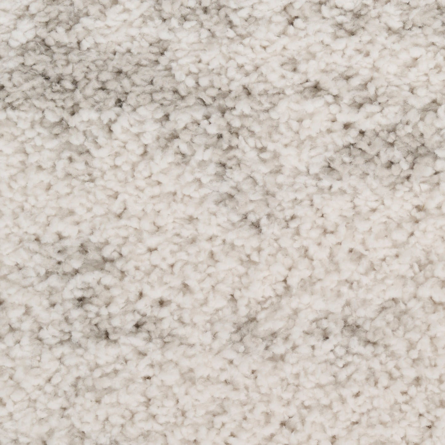 Beige shag carpet close-up showing dense, fluffy pile and soft texture.