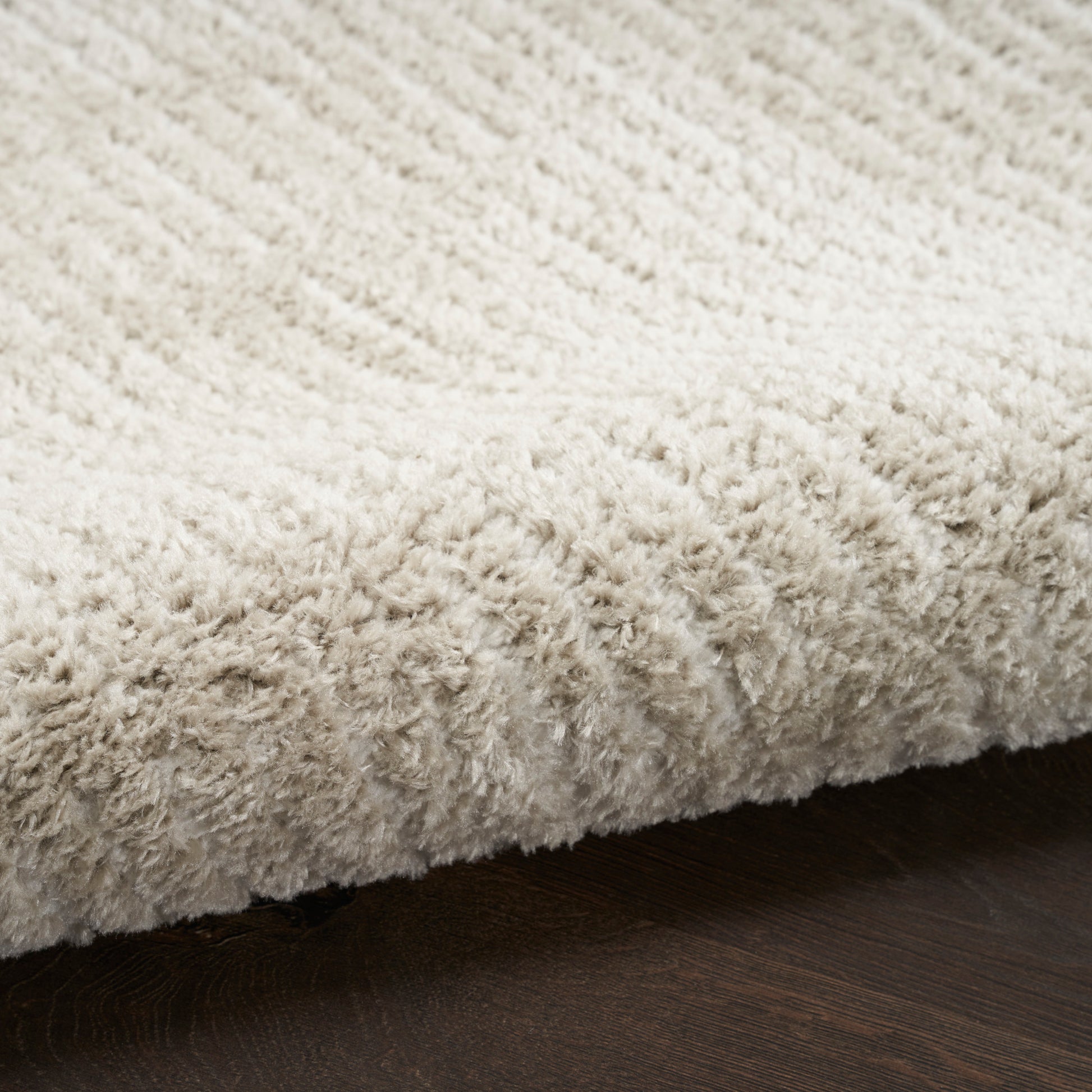 Cream shag rug with fluffy pile on dark hardwood floor, cozy living room floor mat.