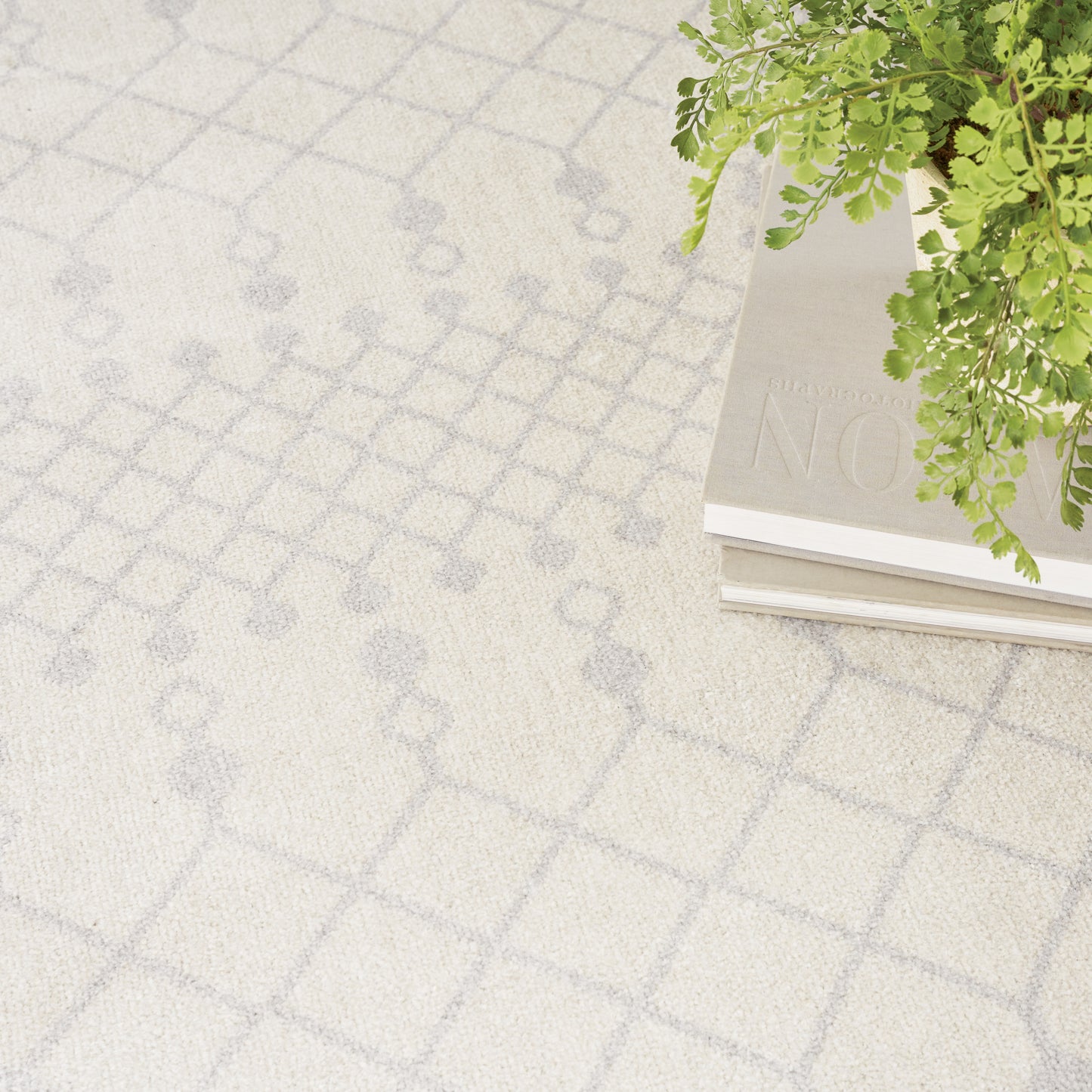 Beige rug with pale gray geometric lattice pattern; stack of books topped by a green fern.